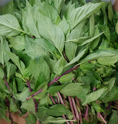 Thai Basil