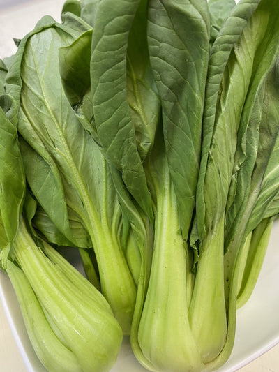 Shanghai Bok Choy