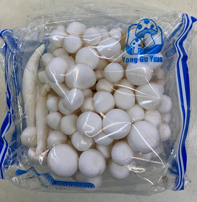 Yong Gu Yuan White Beech Mushroom