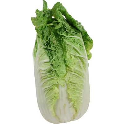 Napa Cabbage