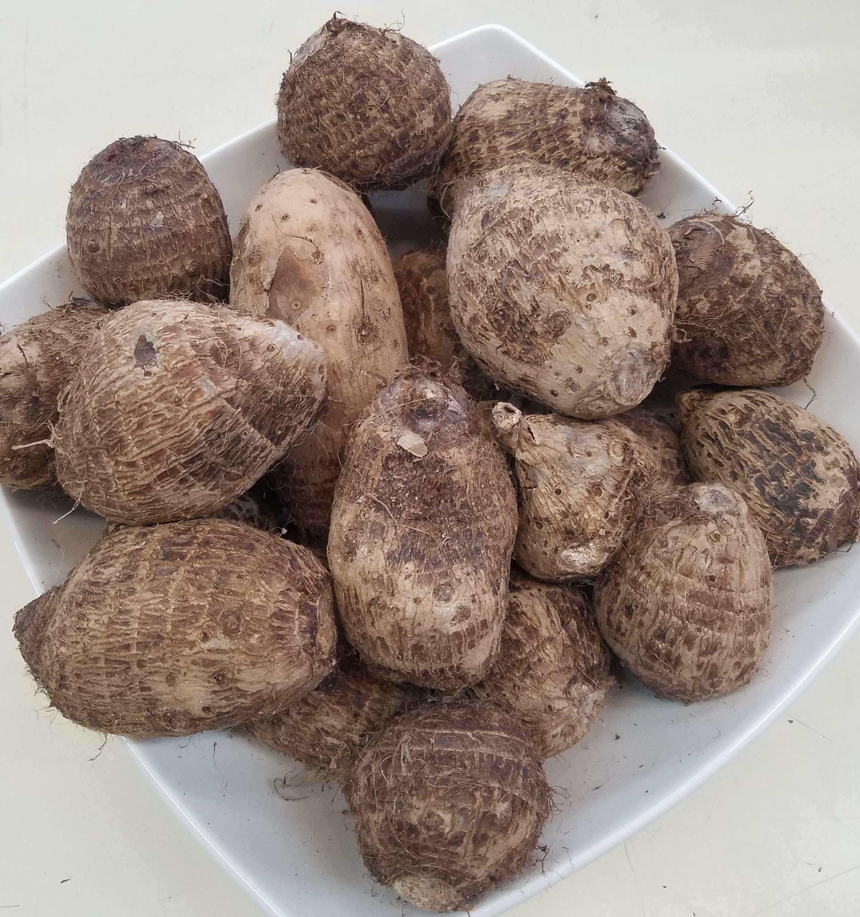 小物 satoimo Satoimo/Japanese Small Taro – Asia Mart, Santa Rosa