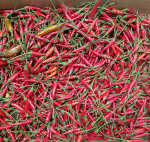Thai Red Chilis