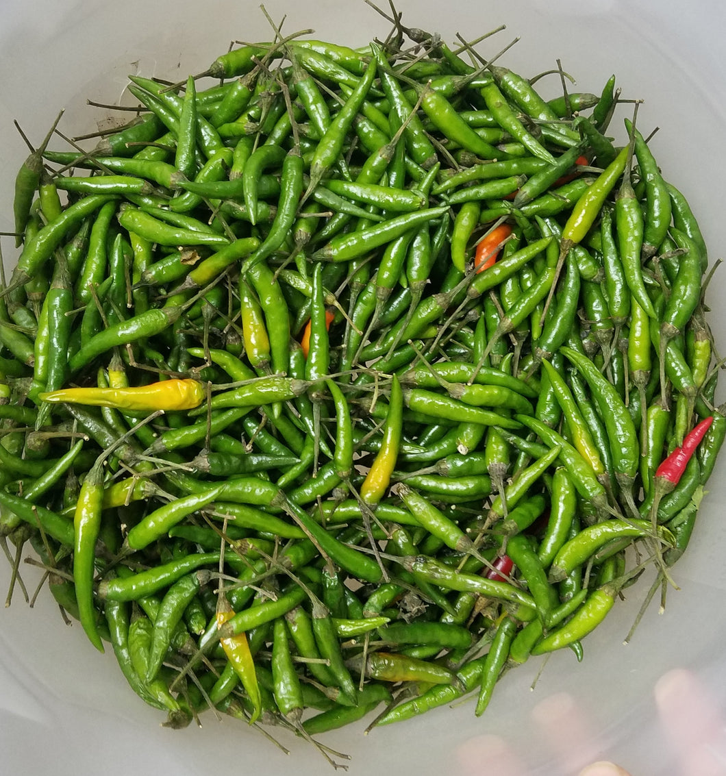 Thai Green Chilis