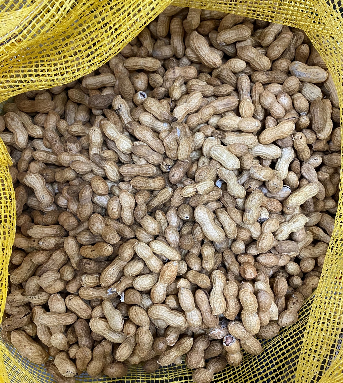 Raw Shelled Peanuts