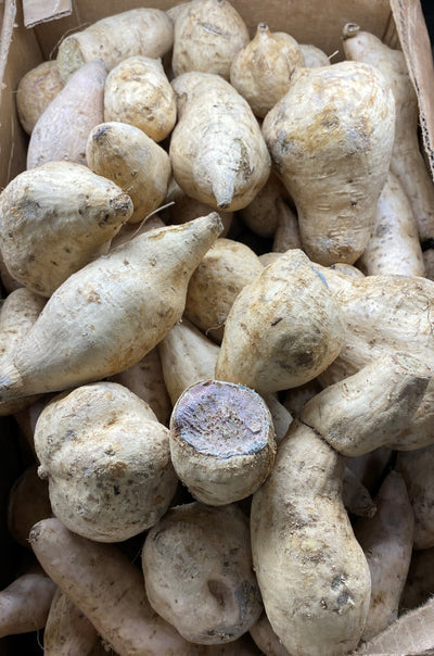 Hawaiian Purple Yam