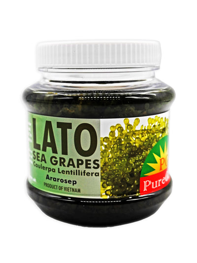 Pure Gold Lato Sea Grapes